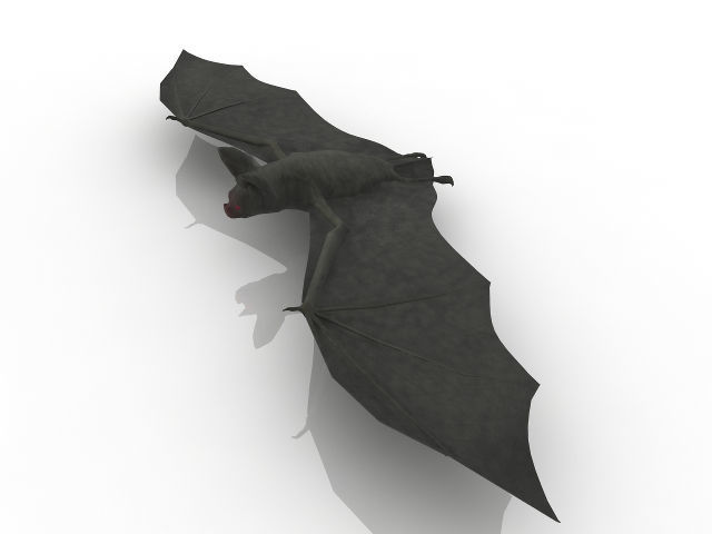 Good quality bat 3D model_2
