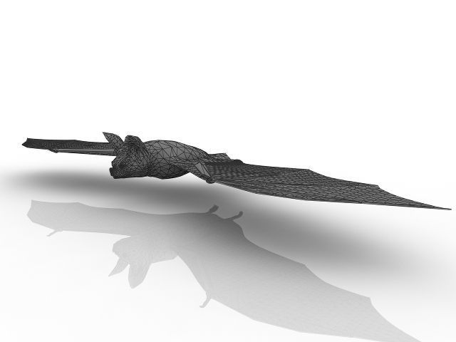 Good quality bat 3D model_4