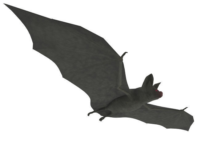 Good quality bat 3D model_3