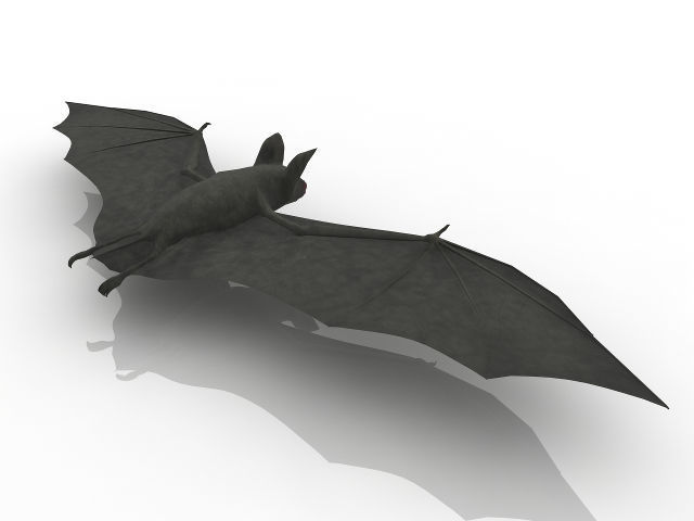 Good quality bat 3D model_1