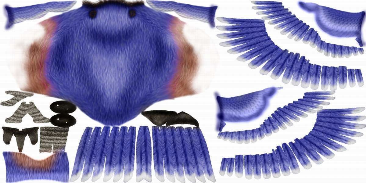 beautiful bird 3D model_6