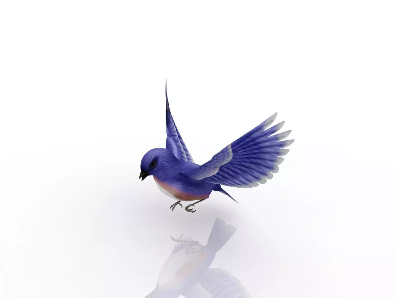 beautiful bird 3D model_0
