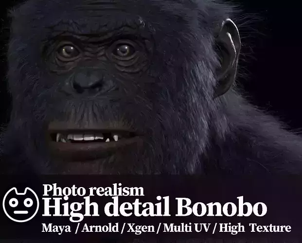 Bonobo High detailed Realistic 3D Model