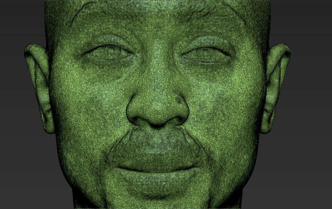 Tupac Shakur bust 3D printing ready stl obj formats 3D print model_26