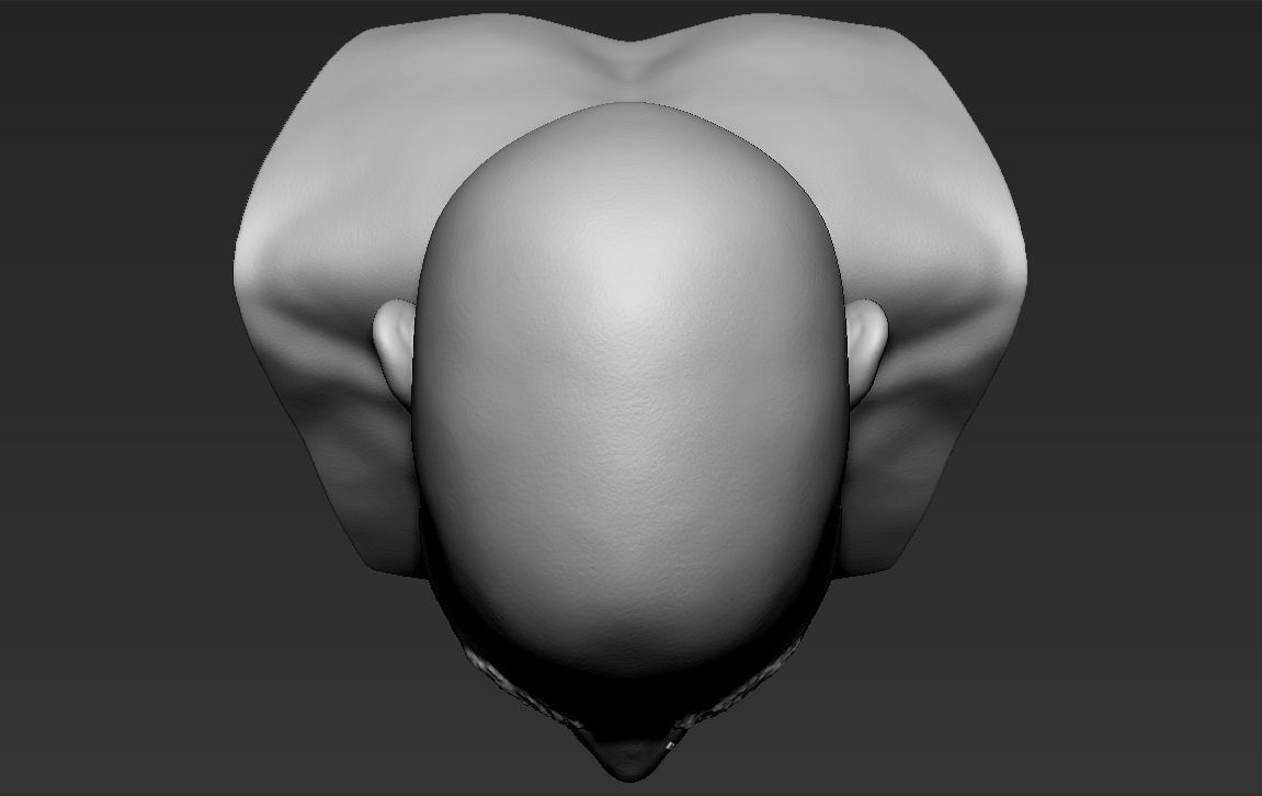 Tupac Shakur bust ready for full color 3D printing 3D print model_37