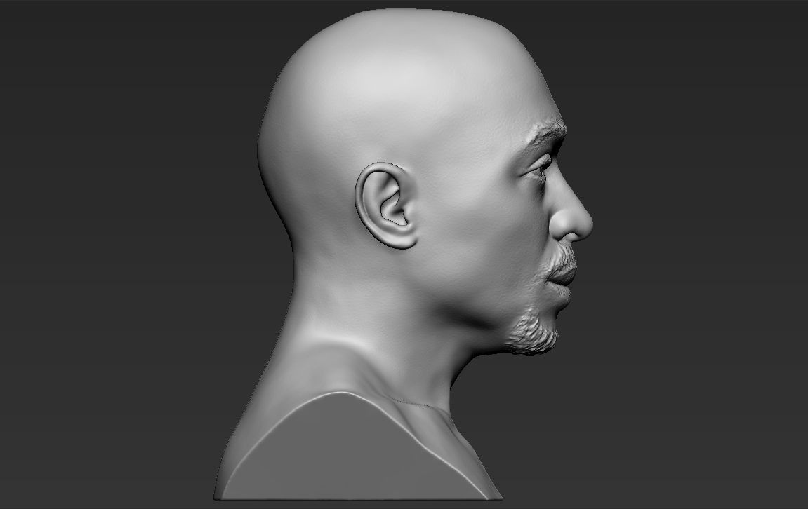 Tupac Shakur bust ready for full color 3D printing 3D print model_30