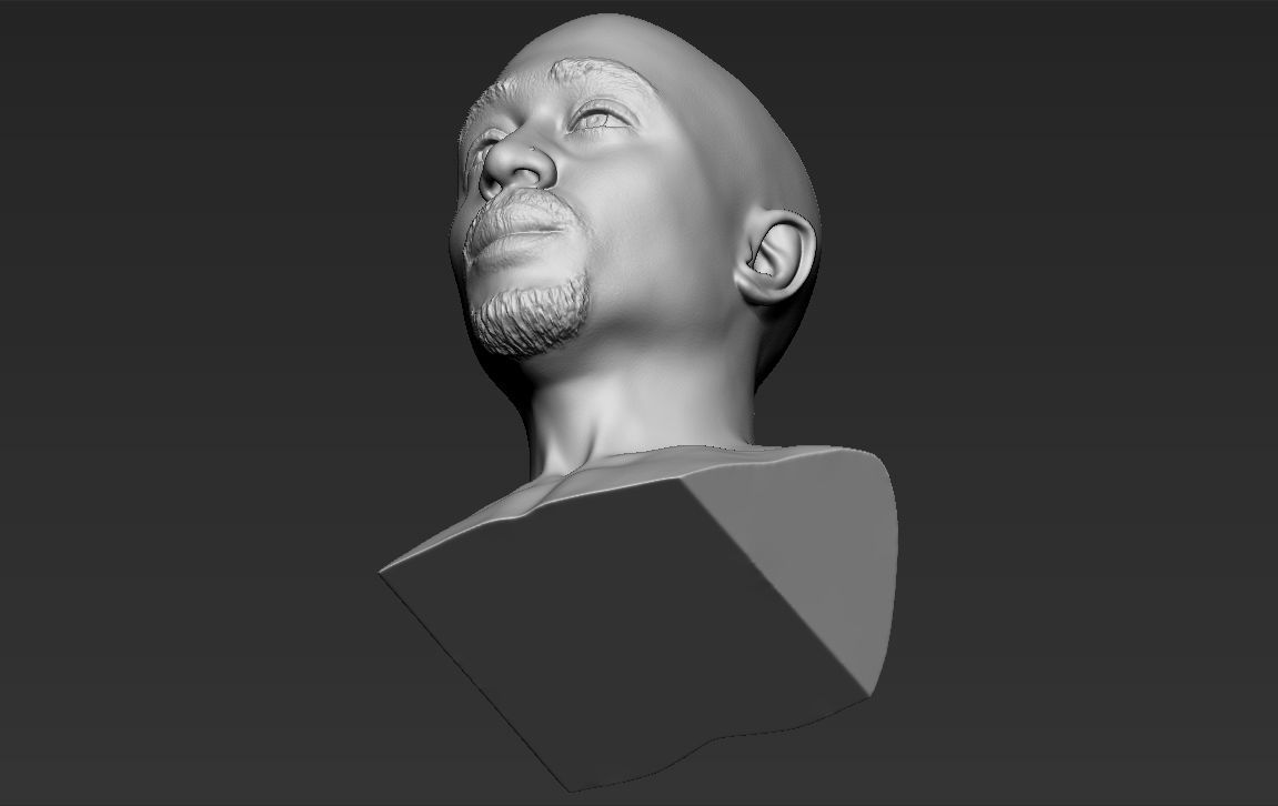 Tupac Shakur bust ready for full color 3D printing 3D print model_44