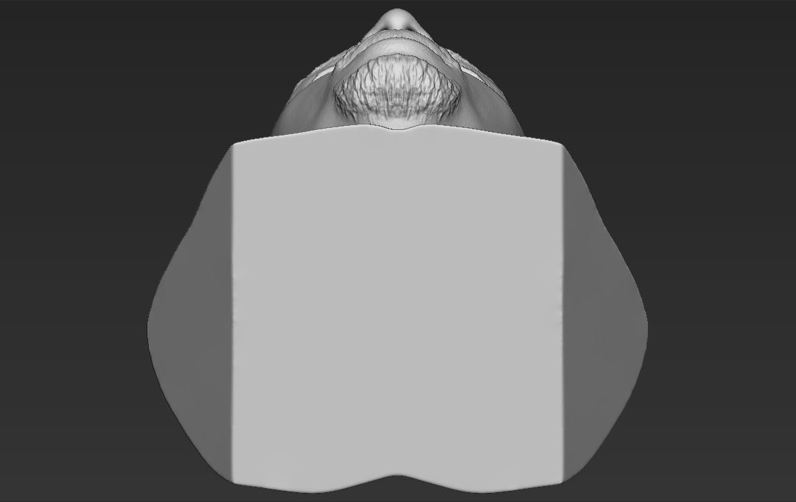 Tupac Shakur bust ready for full color 3D printing 3D print model_46