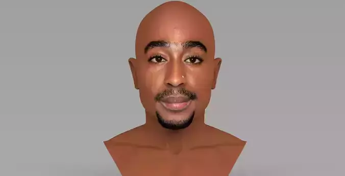 Tupac Shakur bust ready for full color 3D printing 3D print model