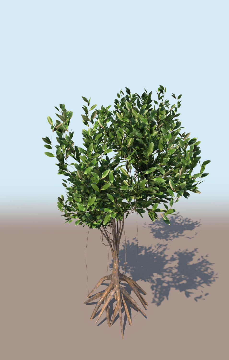 mangrove bush A rhizophora mangle 3D model_3