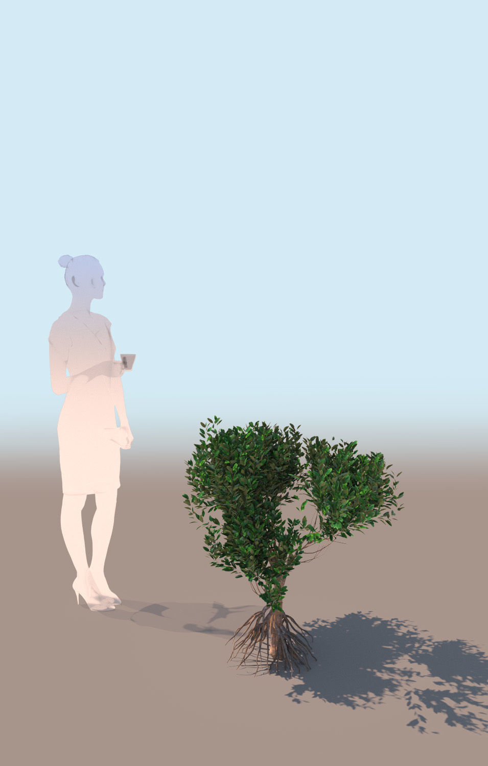 mangrove bush B rhizophora mangle 3D model_2