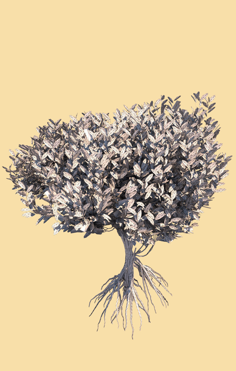 mangrove bush B rhizophora mangle 3D model_4