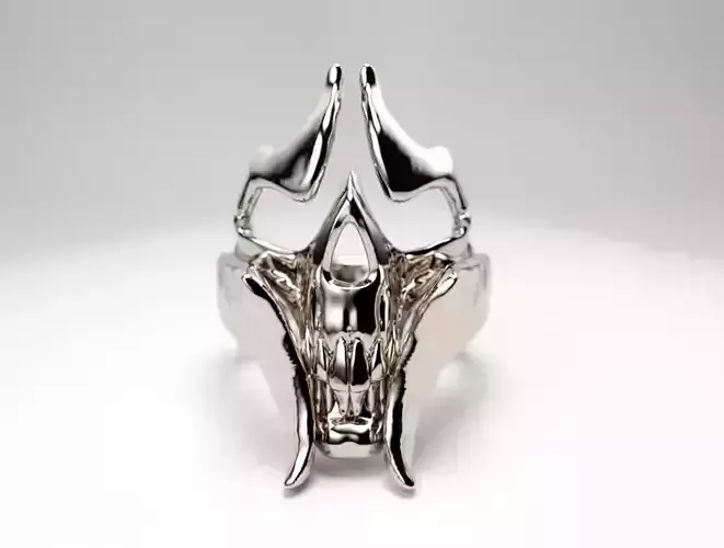rings skull