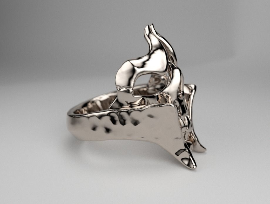 rings skull 3D print model_1