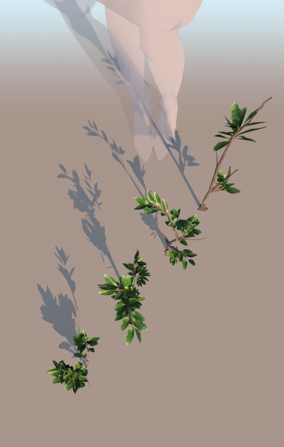 mangrove grasses Rhizophora mangle 3D model_2