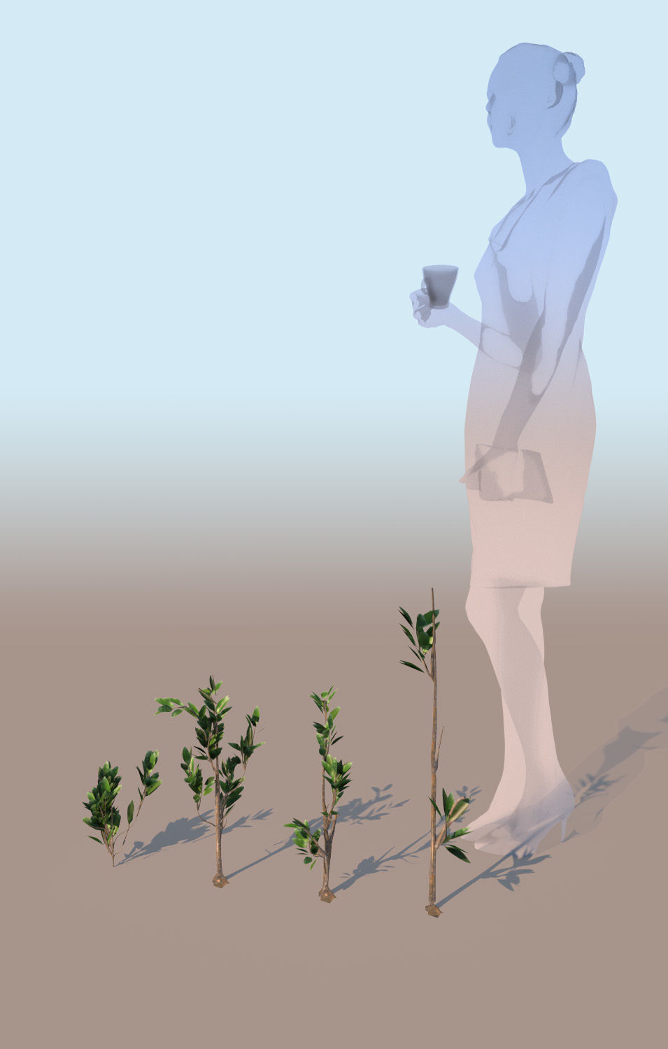 mangrove grasses Rhizophora mangle 3D model_1