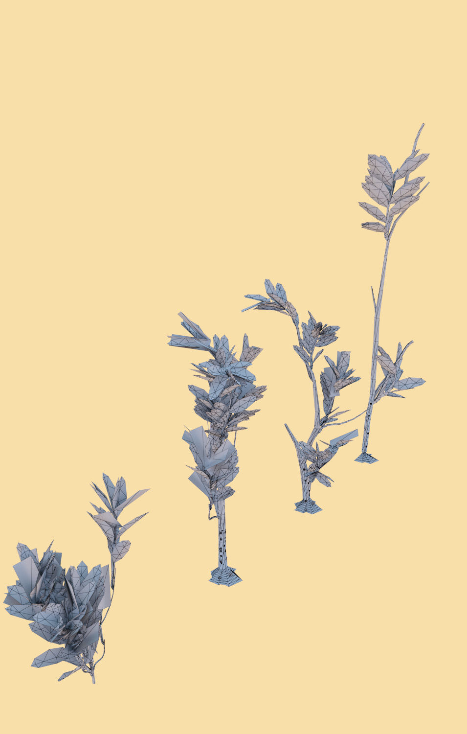 mangrove grasses Rhizophora mangle 3D model_3