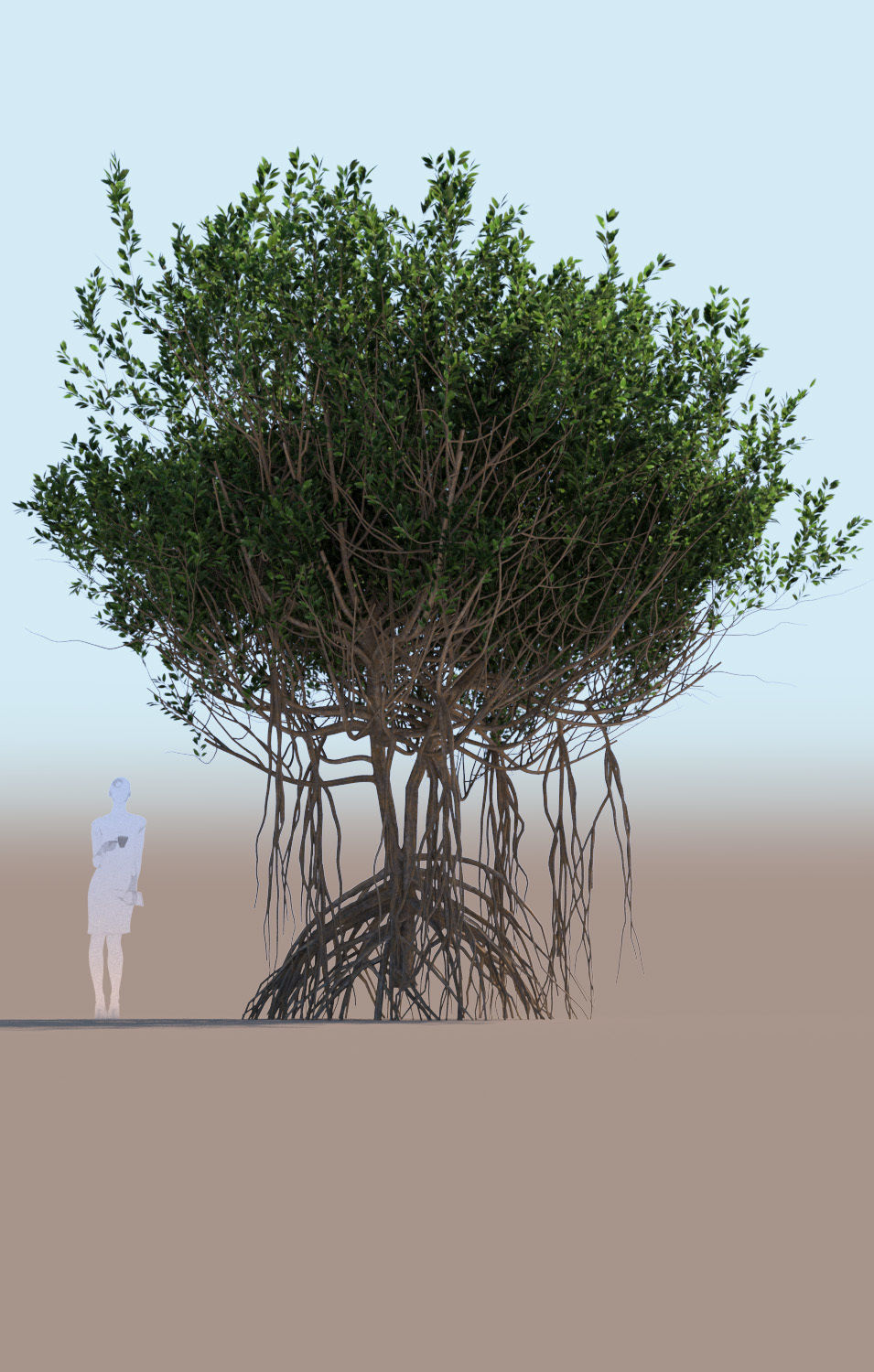mangrove tree A rhizophora mangle 3D model_2