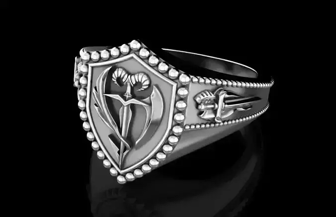  Order of the Sword ring 3D print model