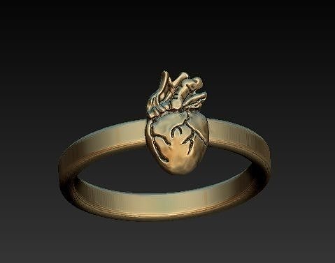 CARDIOVASCULAR - heart ring 3D print model
