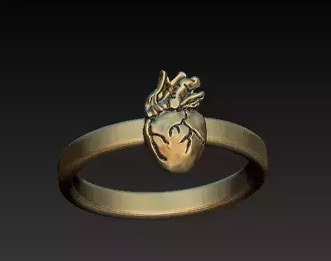 CARDIOVASCULAR - heart ring 3D print model