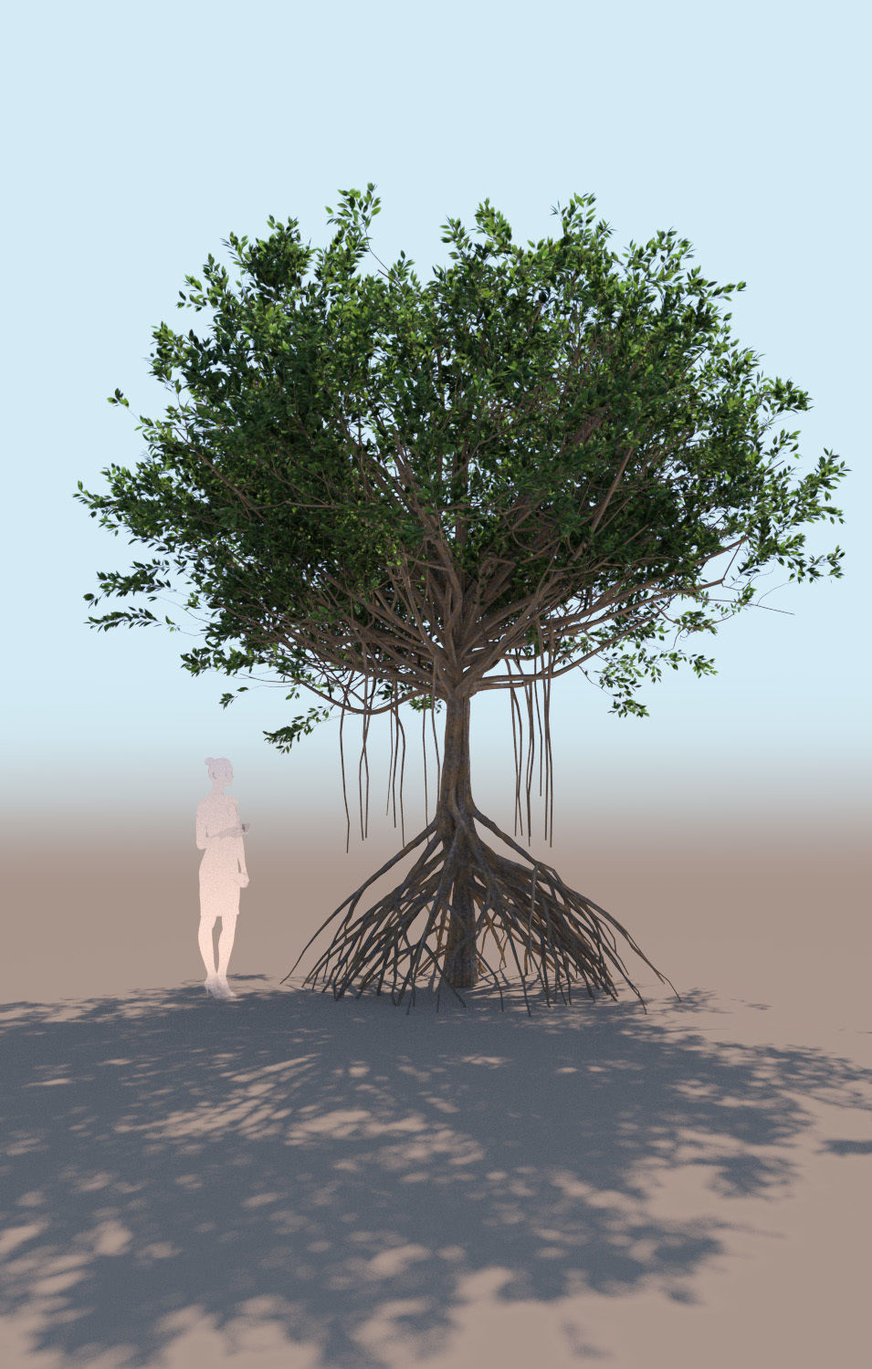 mangrove tree B rhizophora mangle 3D model_2