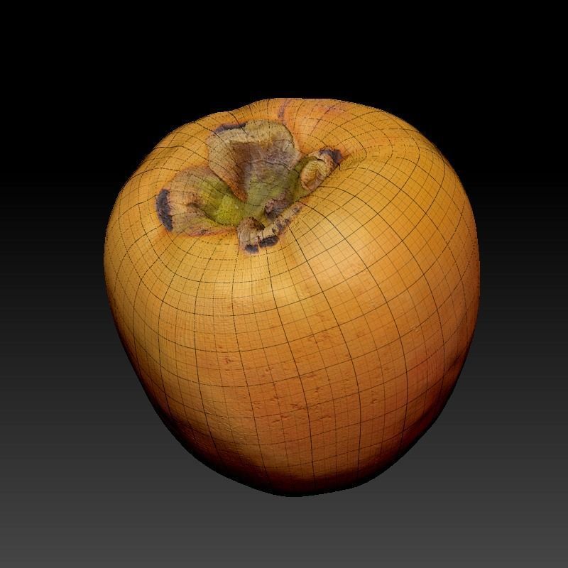 Persimmon 34 Low-poly 3D model_6