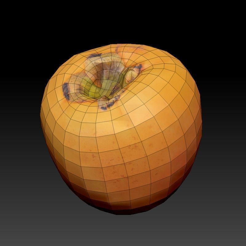 Persimmon 34 Low-poly 3D model_5
