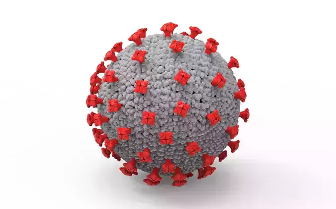 Coronavirus 3D model