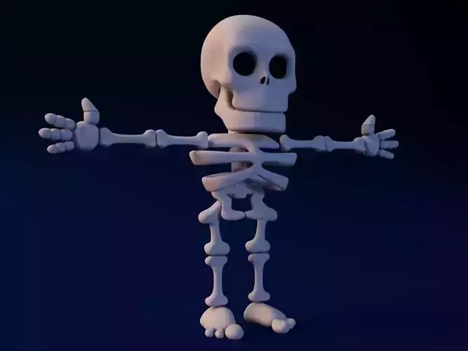 Cartoon Skeleton Not rigged 3D model