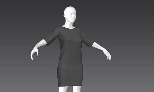 Clothes for Marvelous Designer T-Shirt01 for Woman 3D model