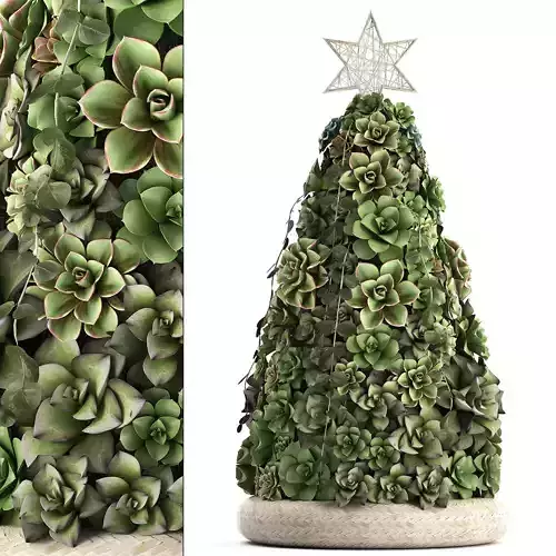 New Year tree made of succulents 420