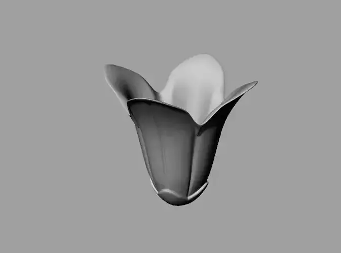 Bell tulip flower 3D print model