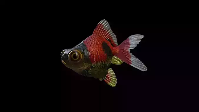 FISH-006 Goldfish 3D model