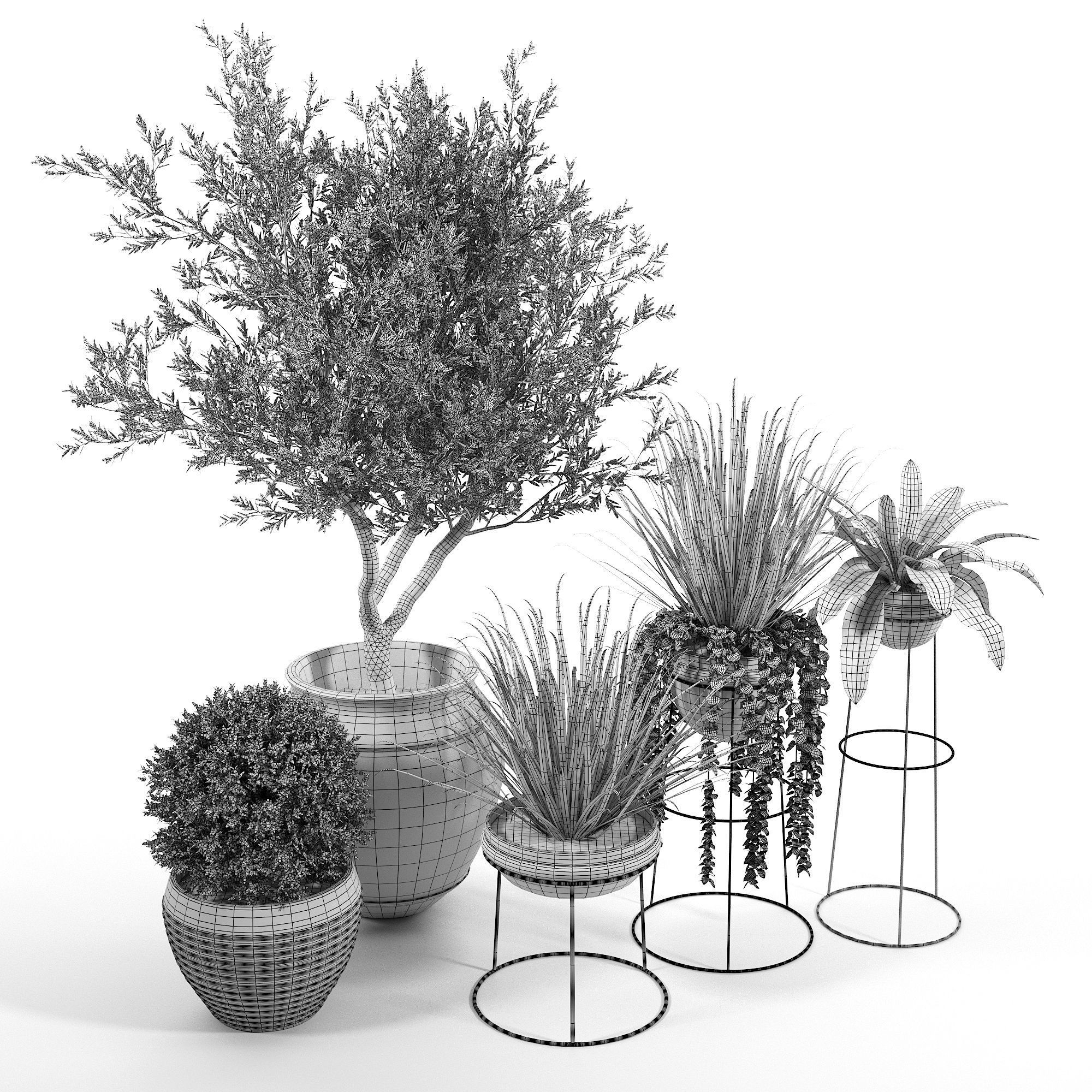 CB2 Set three potted plants 3D model_4