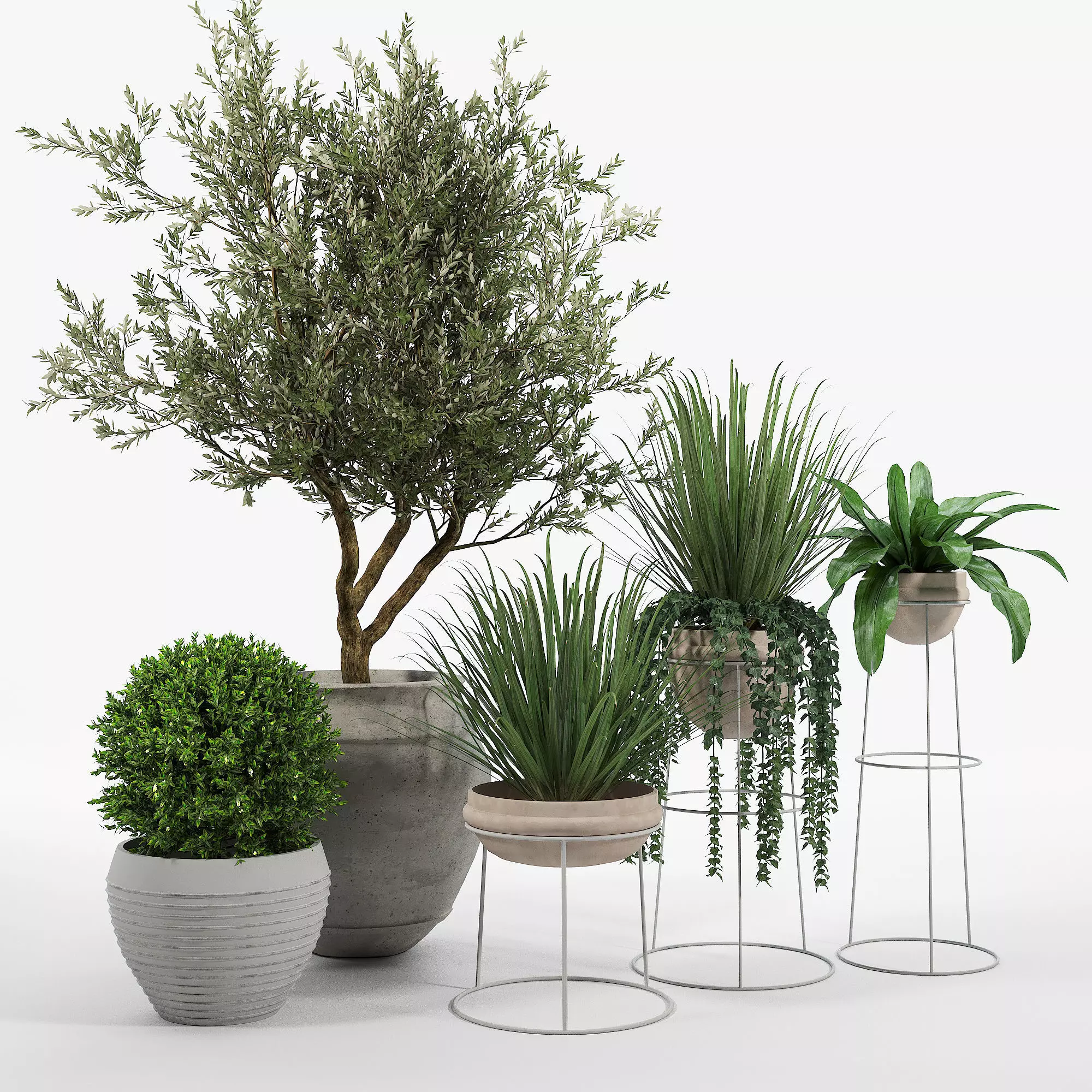 CB2 Set three potted plants 3D model_0
