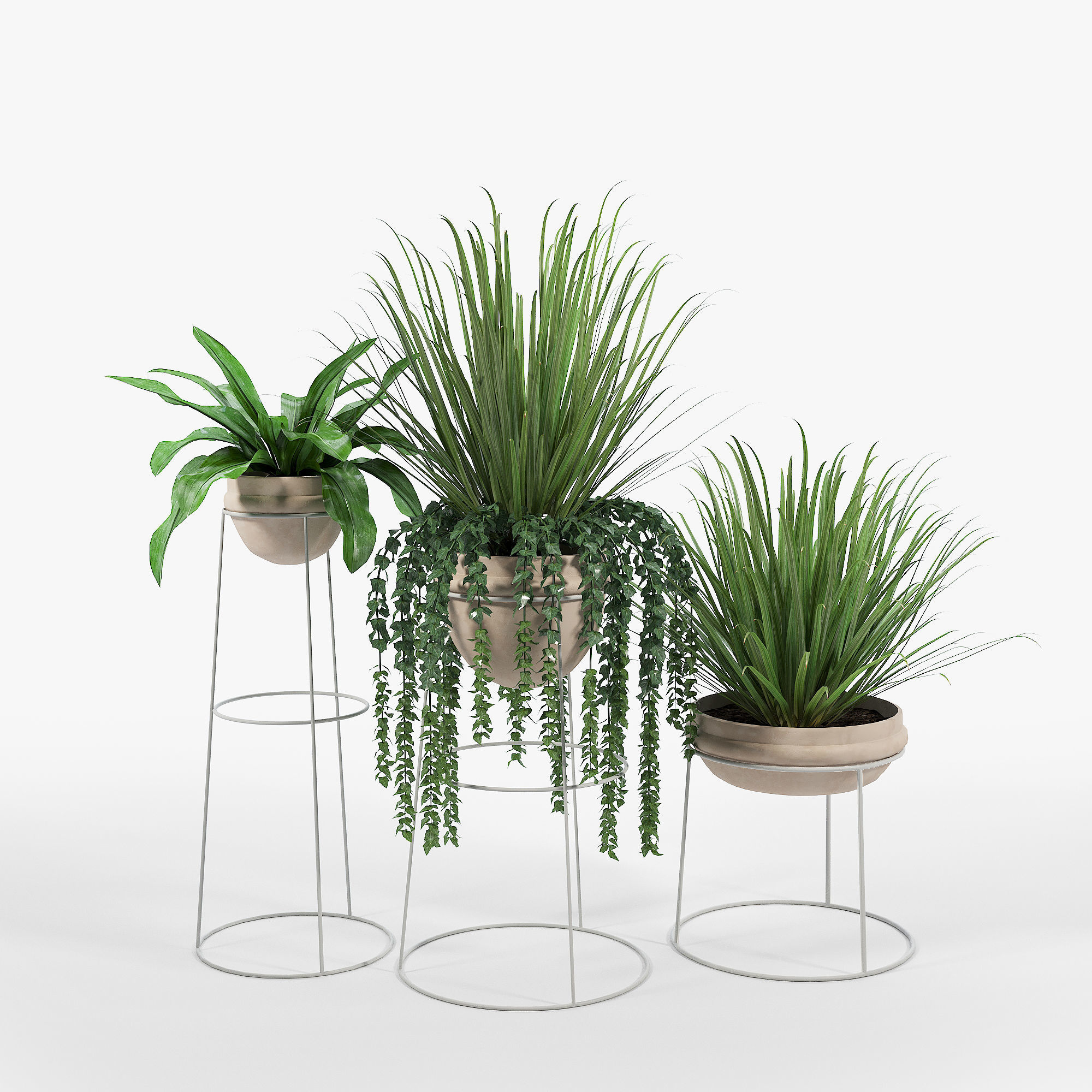 CB2 Set three potted plants 3D model_2