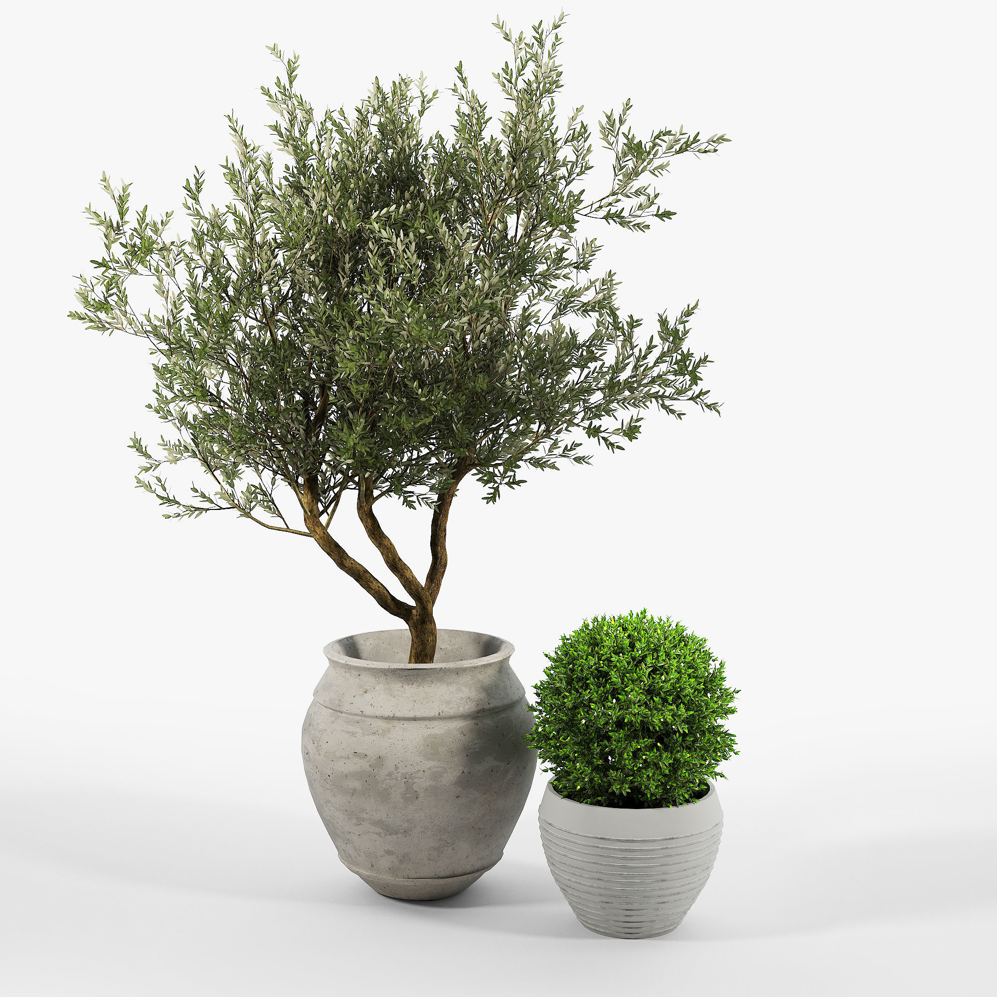 CB2 Set three potted plants 3D model_3