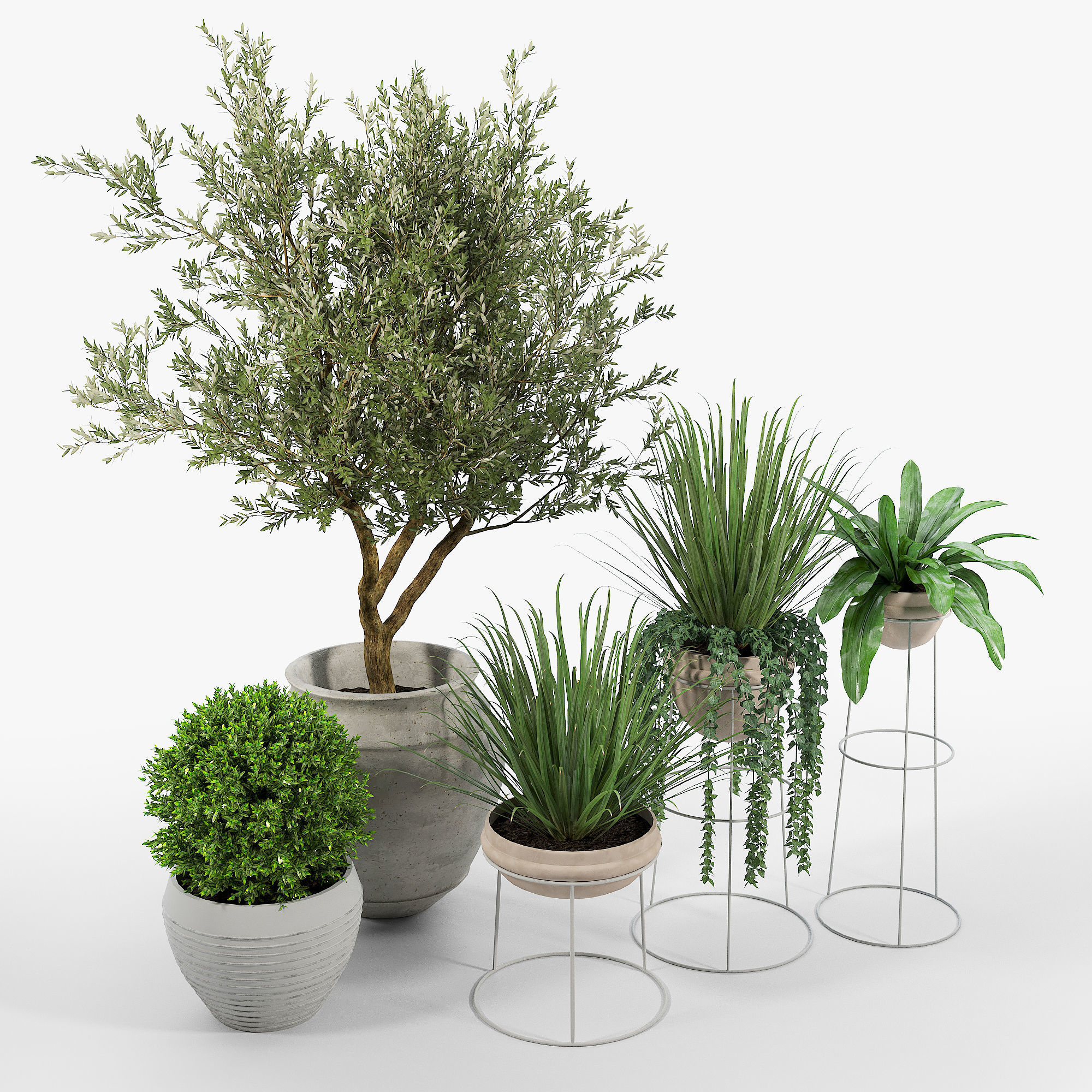 CB2 Set three potted plants 3D model_1