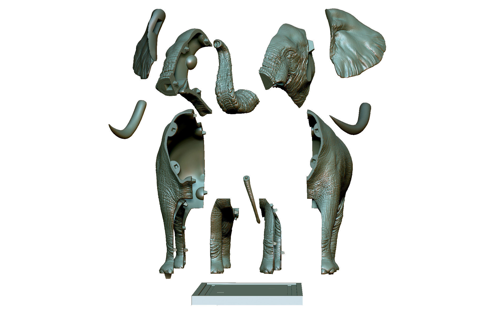 Elephant 3D Printing  3D print model_9