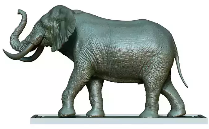 Elephant 3D Printing  3D print model