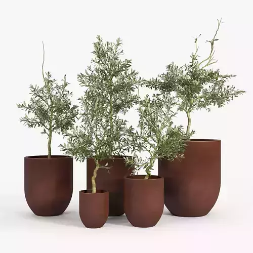 Neo Planter Rust