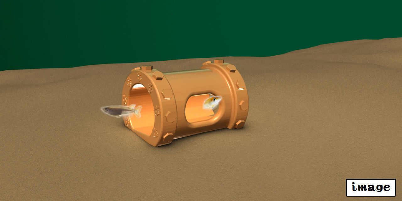 Aquarium-ornaments box Free 3D print model_9