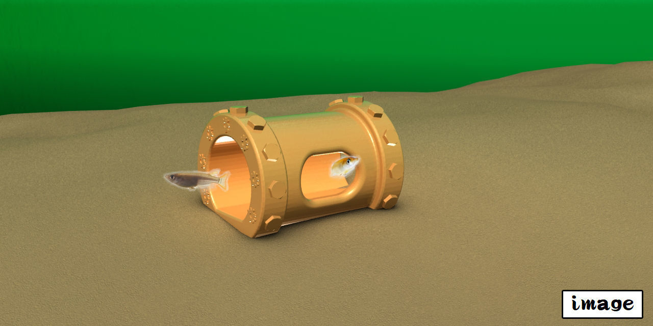 Aquarium-ornaments box Free 3D print model_8