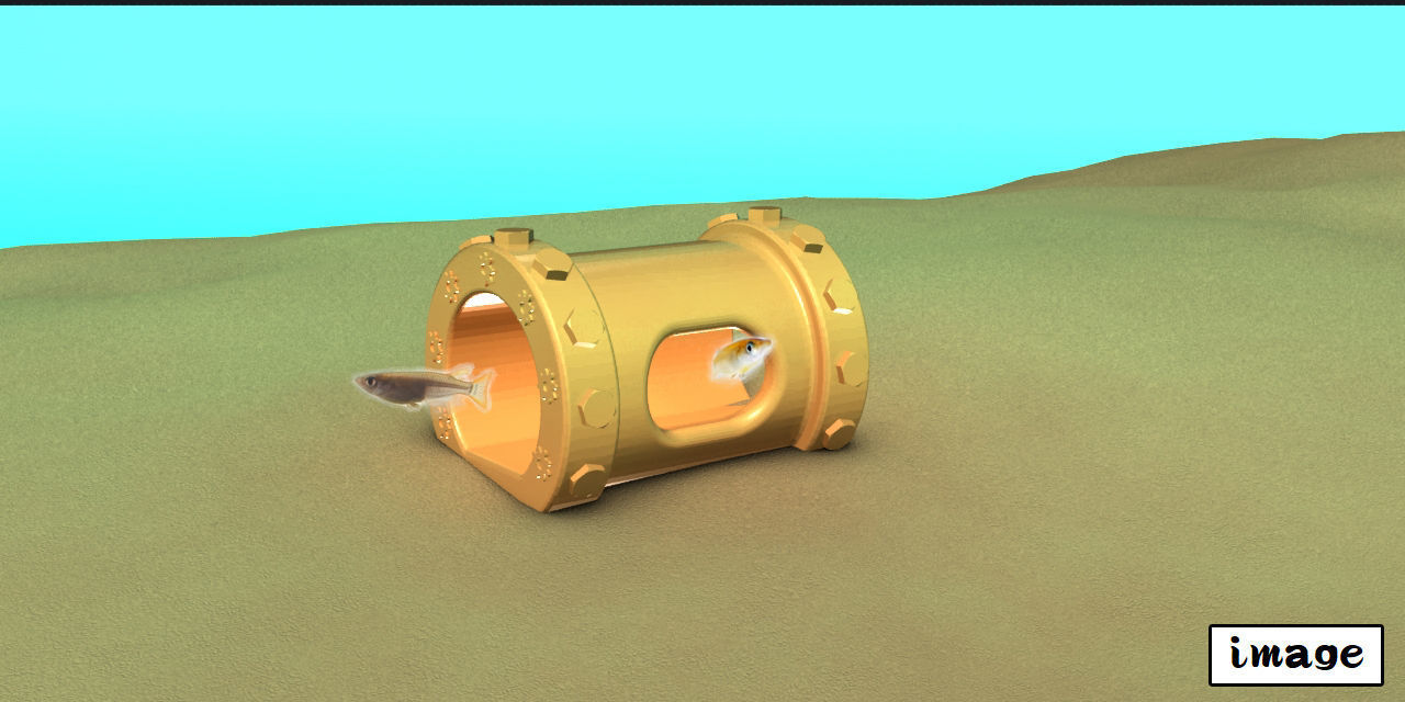 Aquarium-ornaments box Free 3D print model_10