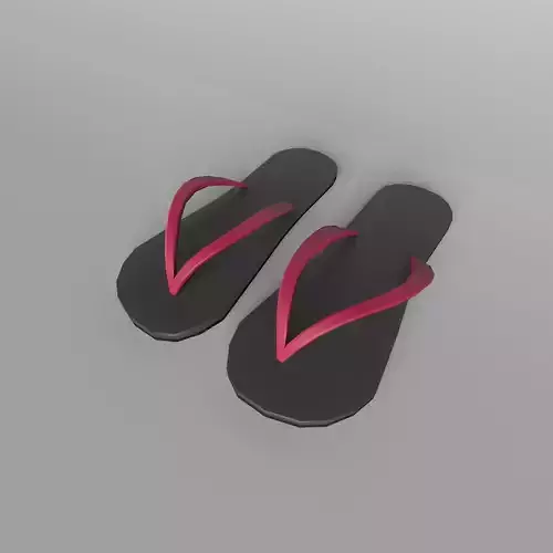 Flip Flops v1 001