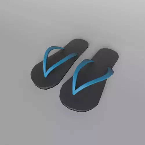 Flip Flops v1 002