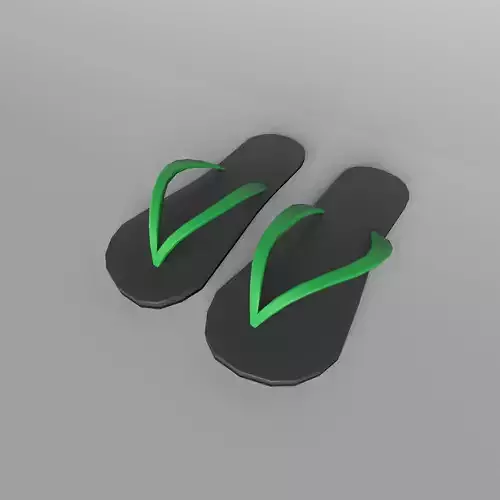 Flip Flops v1 003