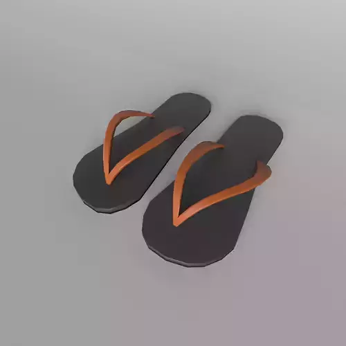 Flip Flops v1 005