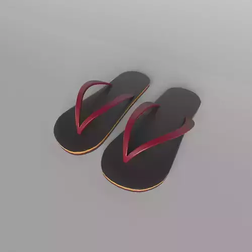Flip Flops v2 001